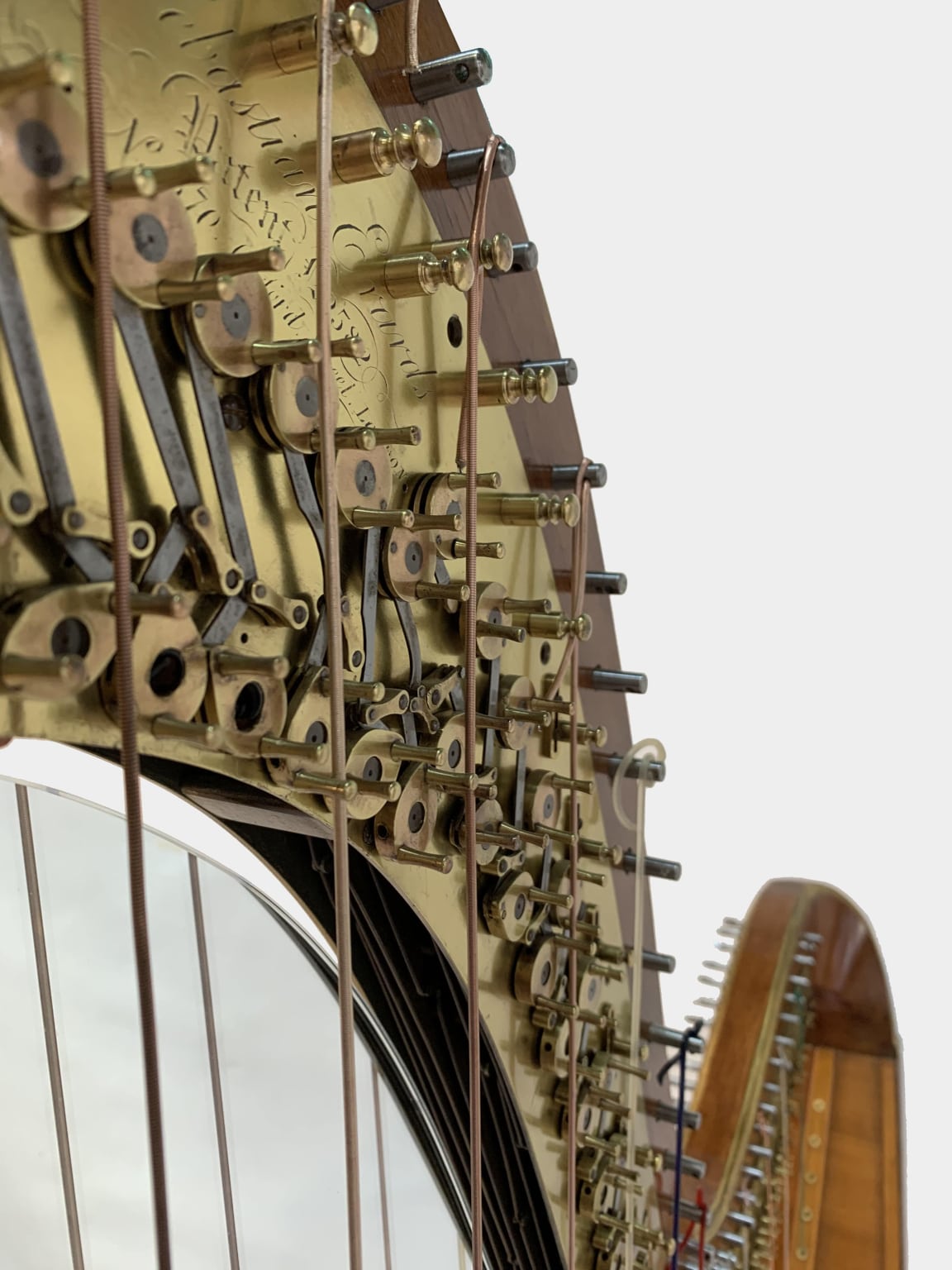 HARP