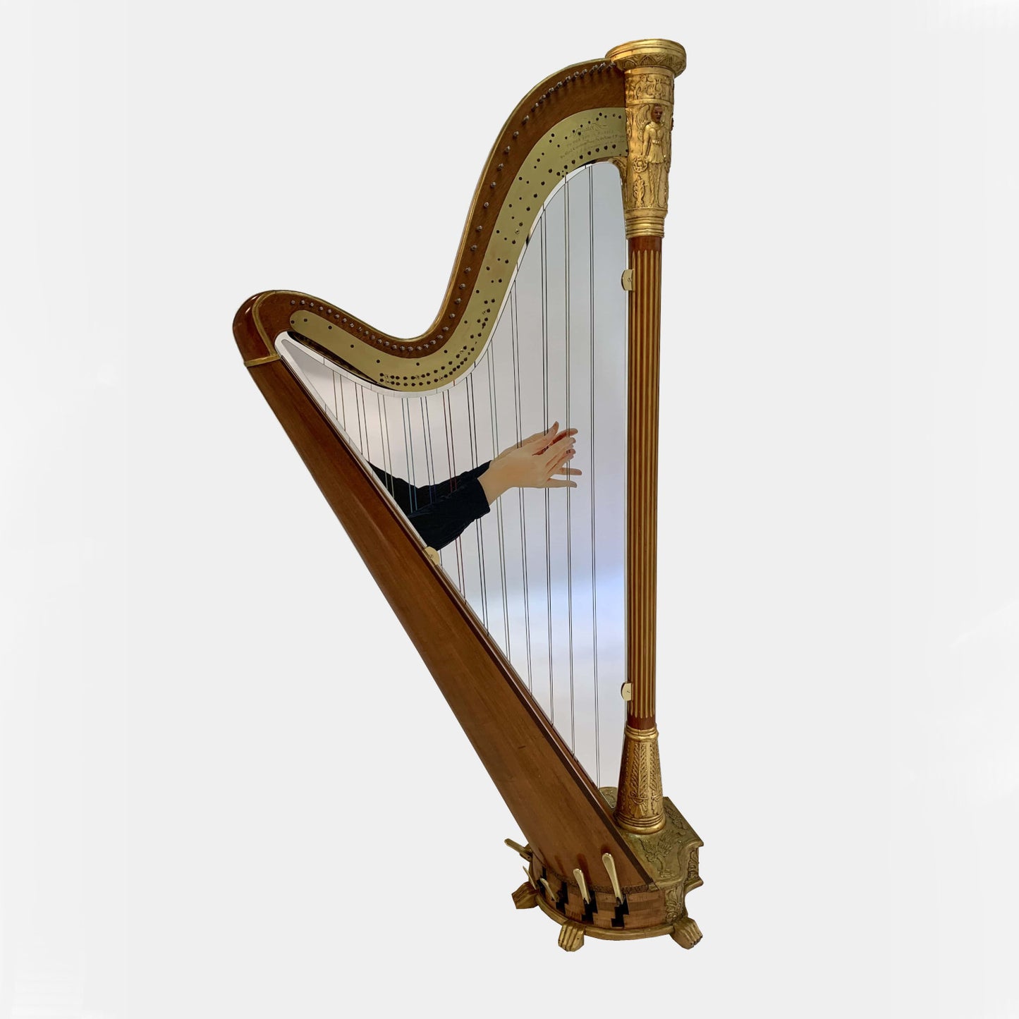 HARP