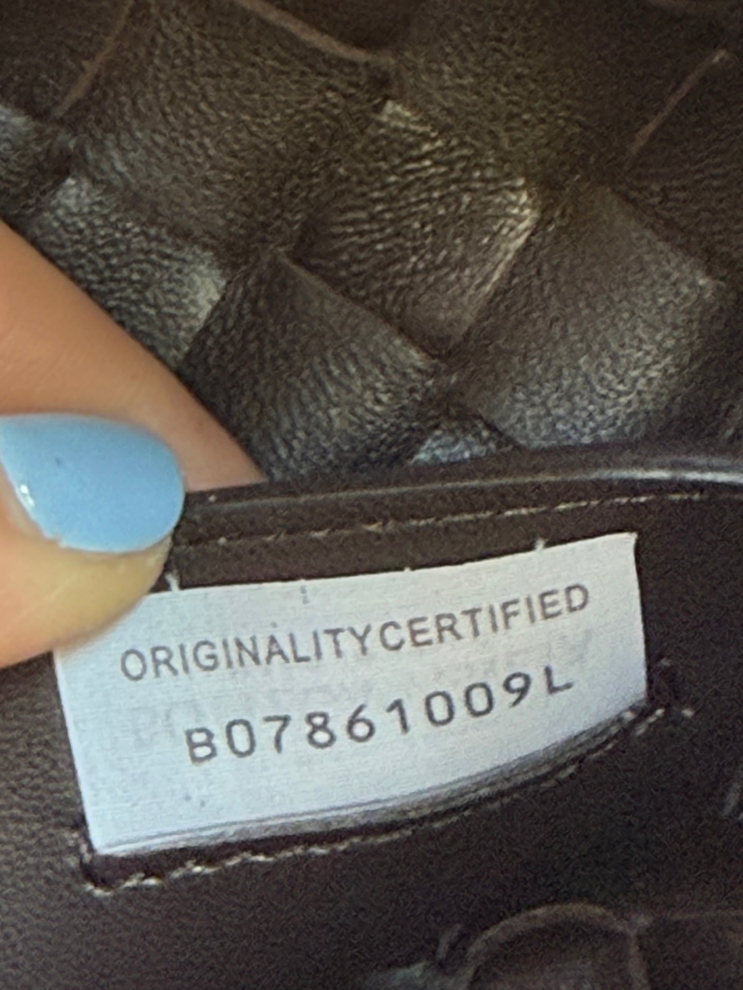 Borsa Bottega Veneta “Andiamo” velluto